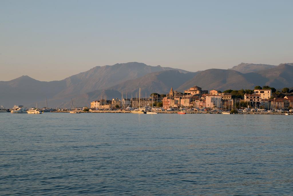 La Roya